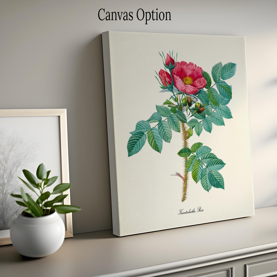 Kamtschatka Red Rose Bloom Thorny Stem Vintage Botanical Art Poster - Image 2