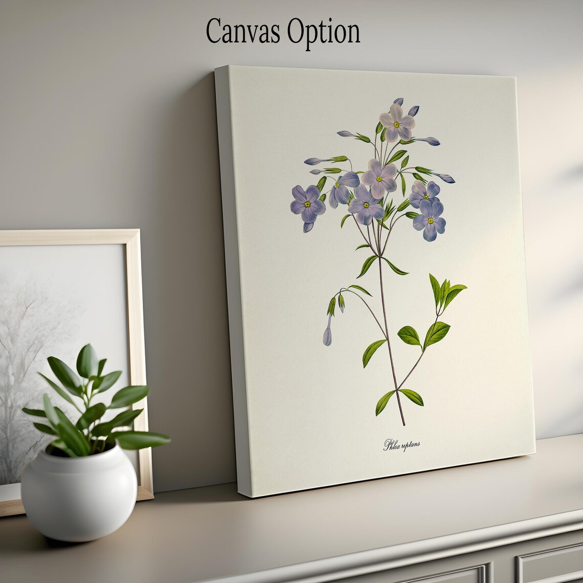 Phlox Flower, Redoute-Inspired Botanical Art Print - Image 2