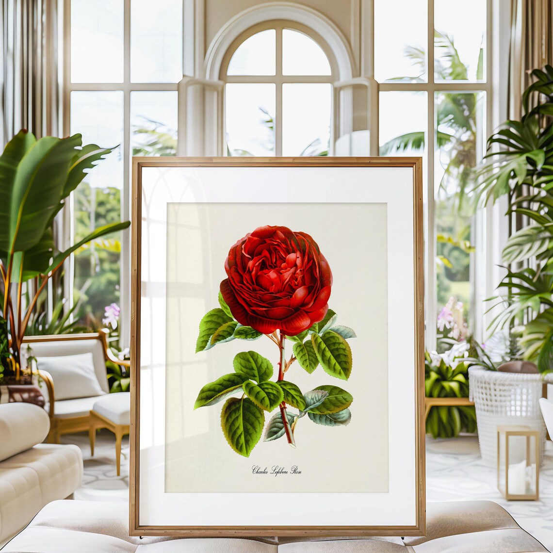 Red Rose by Charles Lefebvre, Botanical Art Print - Image 3