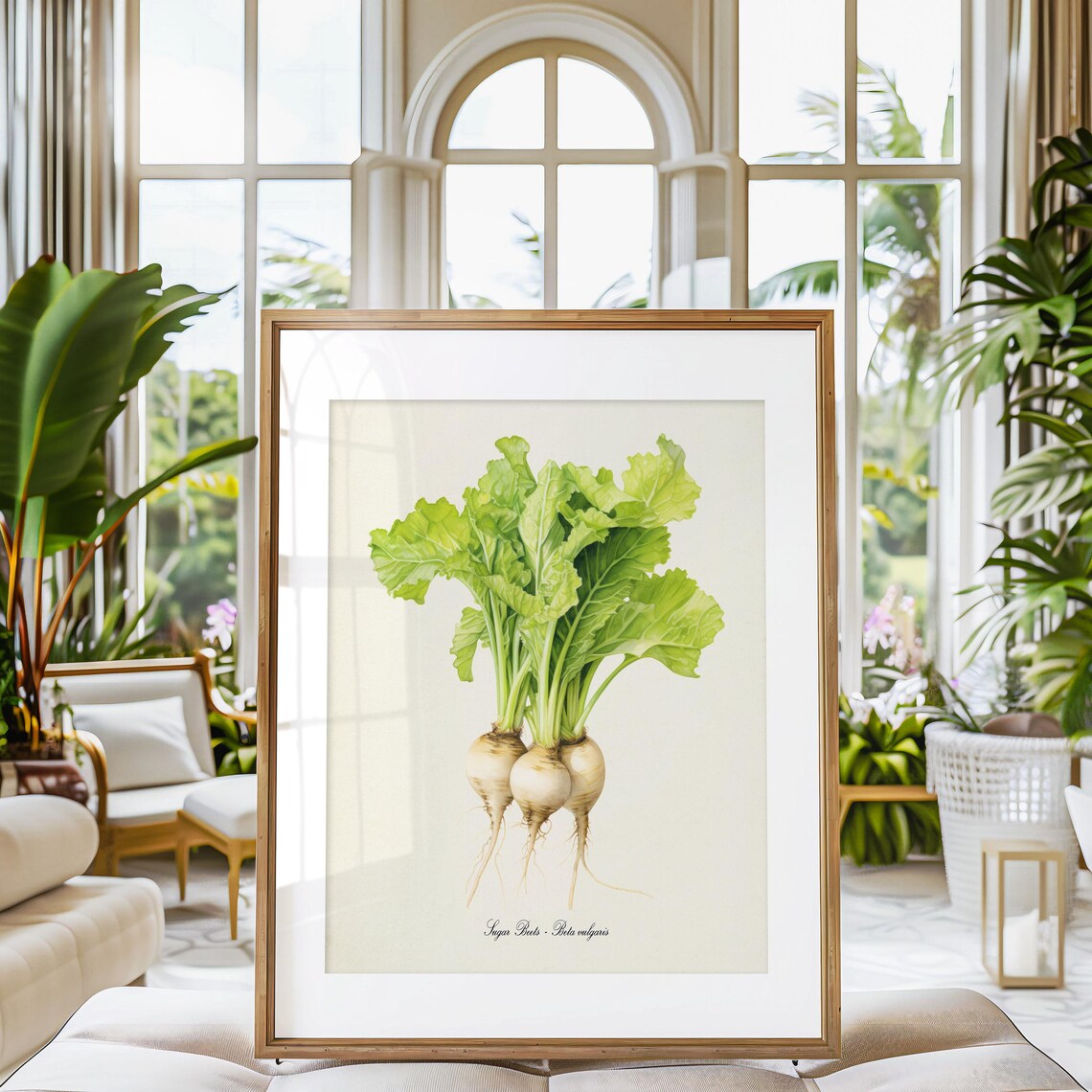 Sugar Beets Botanical Art Print, Garden Decor - Image 3