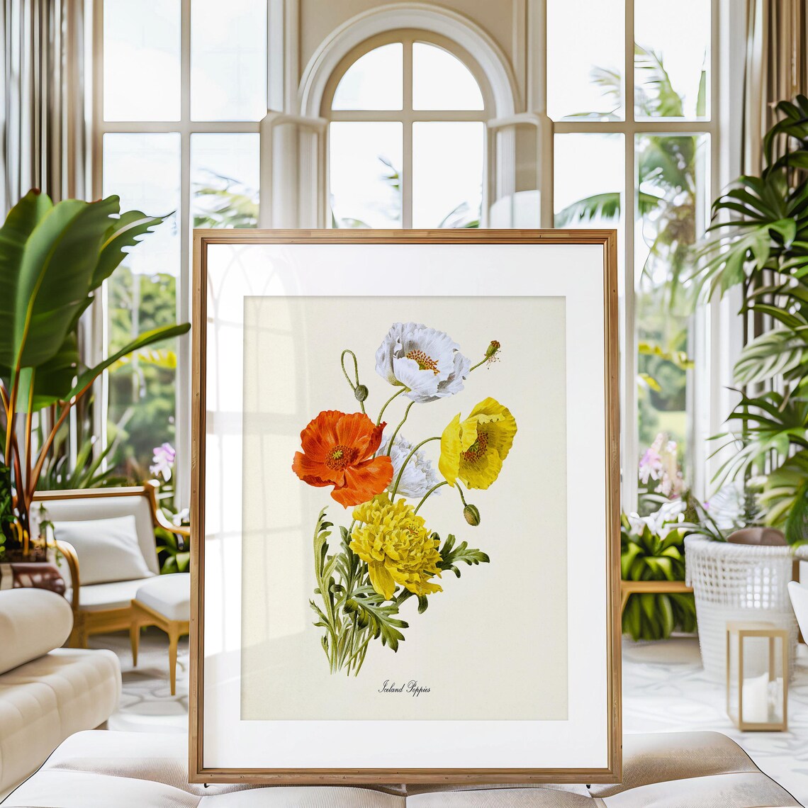 Iceland Poppies Botanical Art Print, Flower Bouquet - Image 3