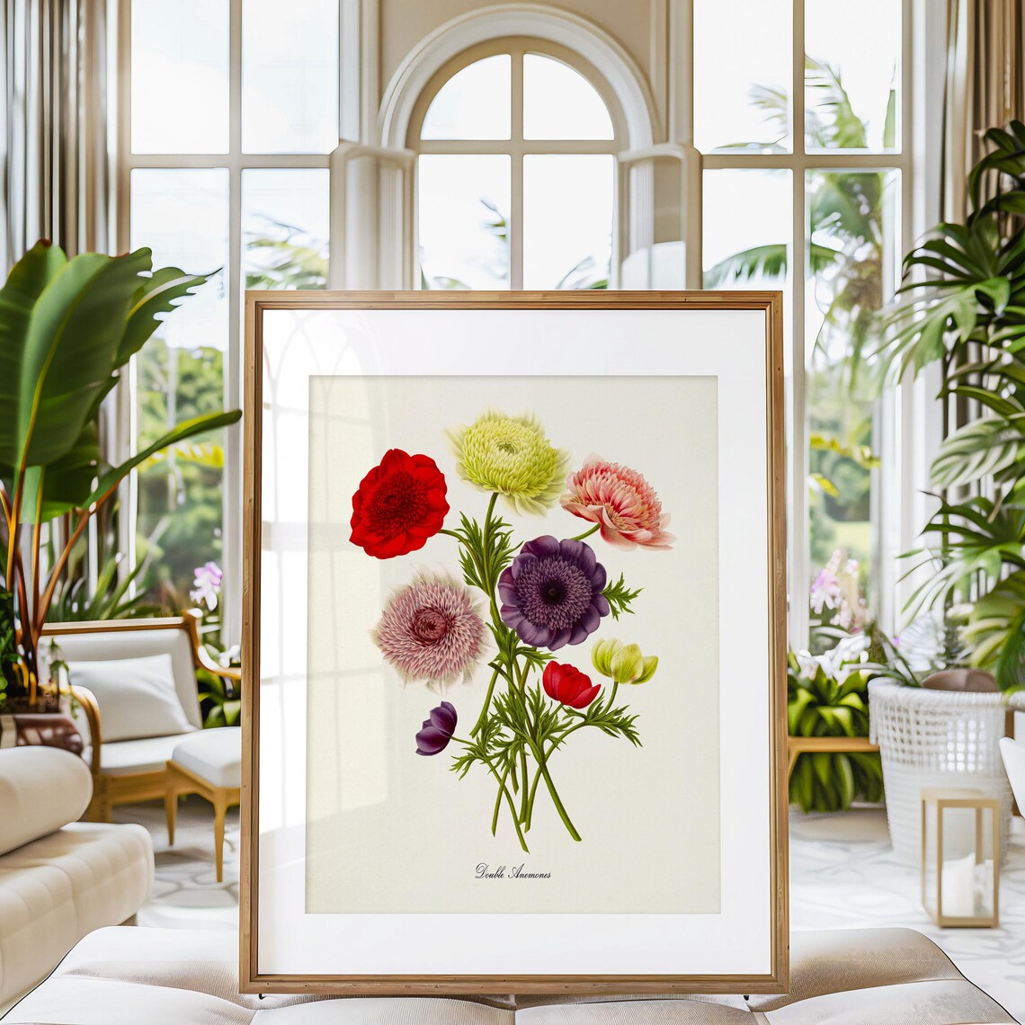 Double Anemones Windflower Botanical Art Print - Image 3