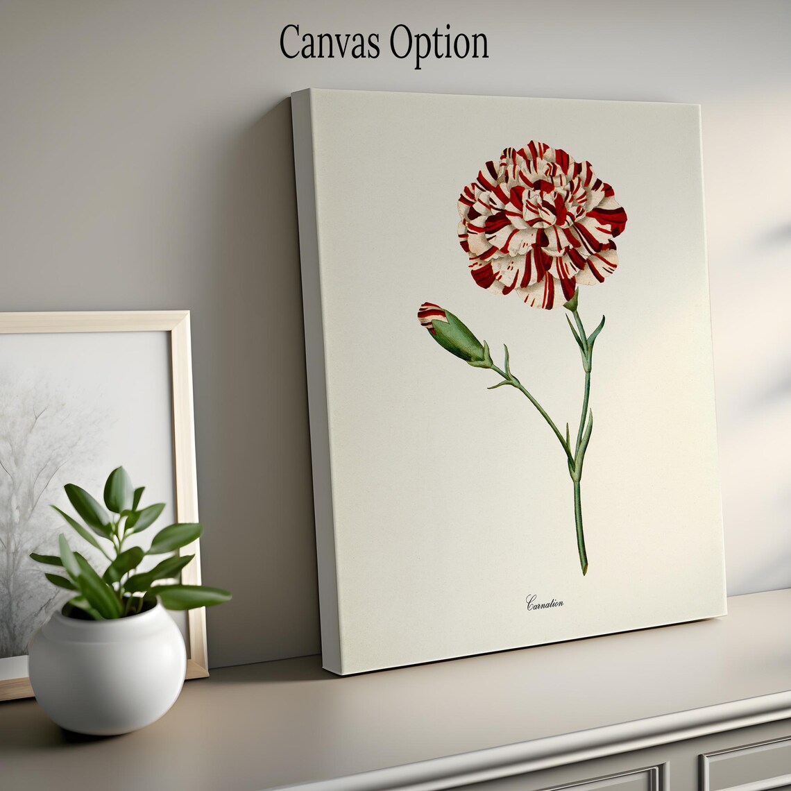 Carnation Flower Botanical Art Print, Floral Wall Art - Image 2