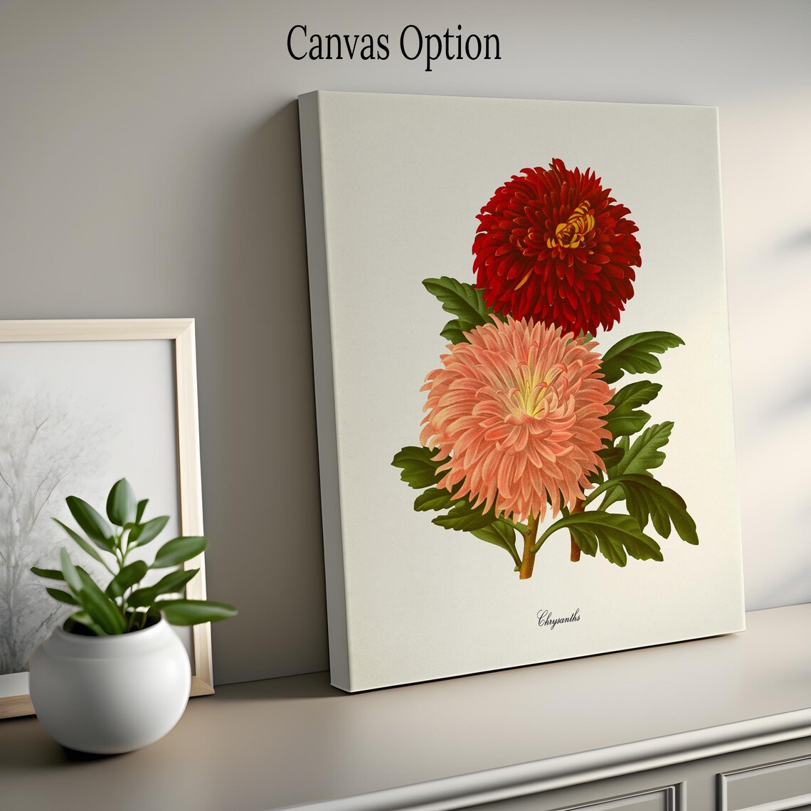 Chrysanthemum Botanical Art Print, Mum Flower Decor - Image 2