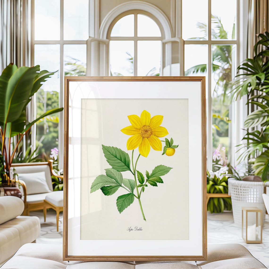 Aztec Dahlia Flower Art Print, Botanical Floral - Image 3
