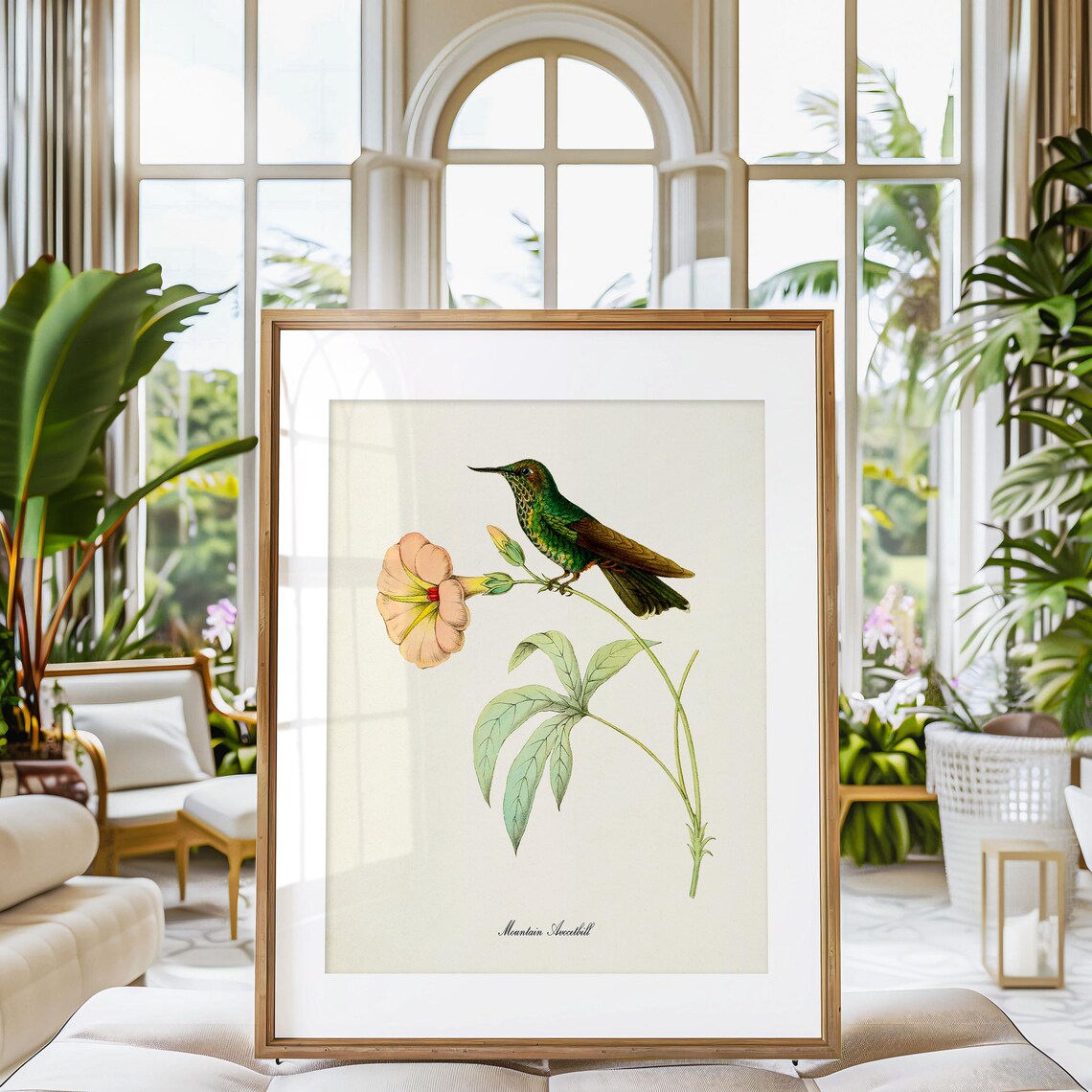 Mountain Avocetbill Hummingbird, Floral Garden Art Print - Image 3