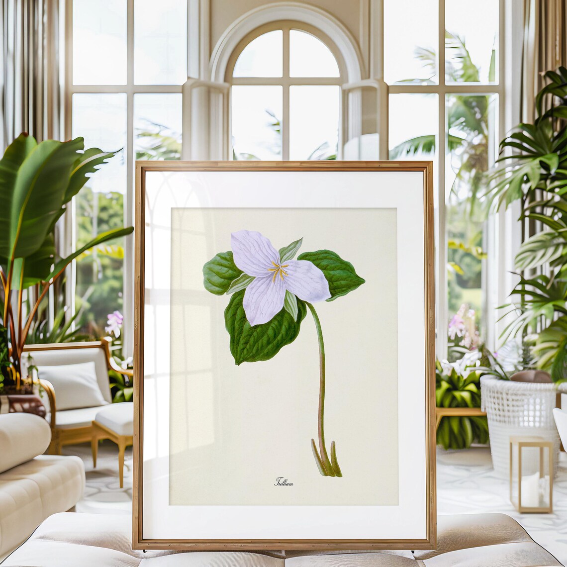 Trillium Flower Botanical Art Print, White Lily - Image 3
