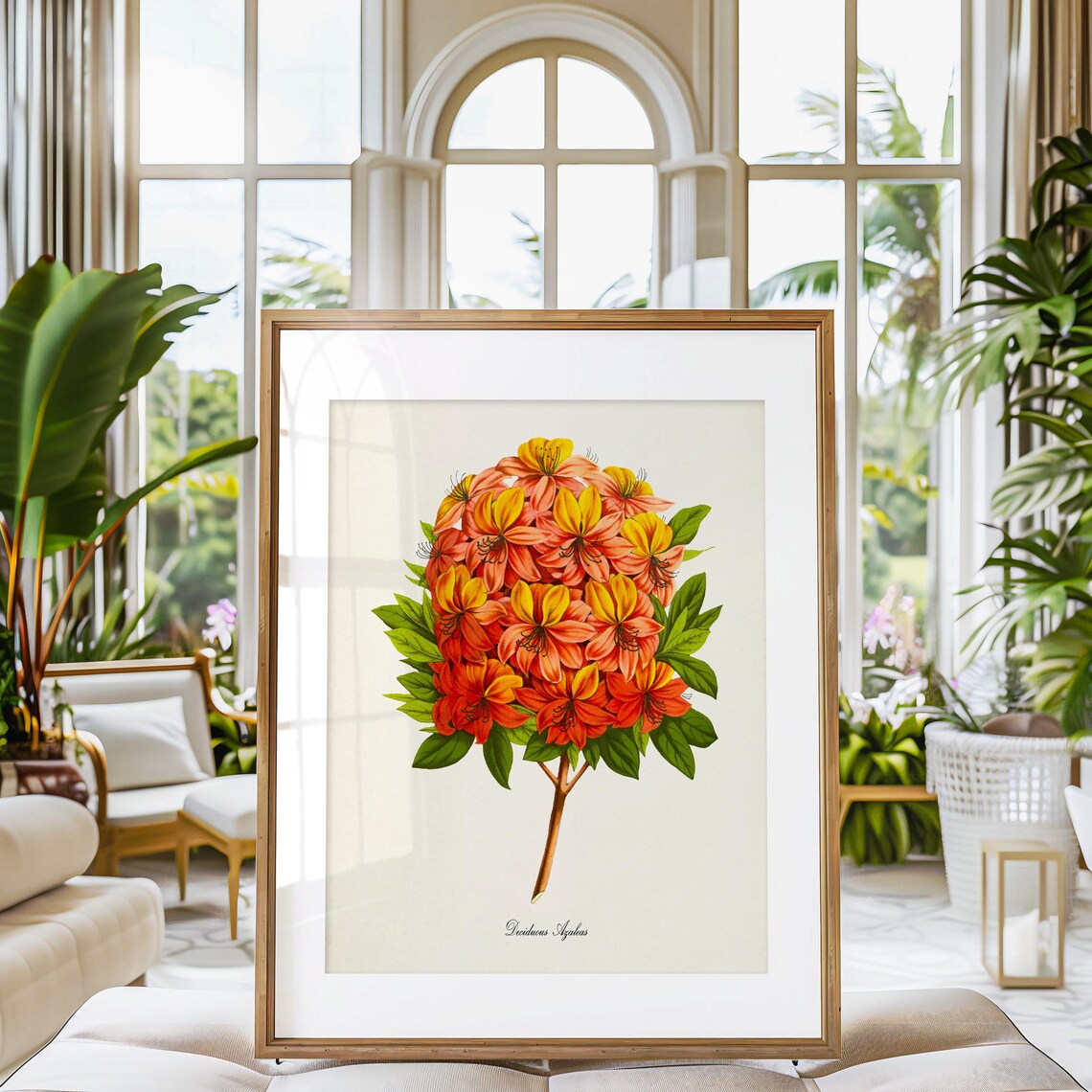Deciduous Azaleas Botanical Flower Art Print - Image 3