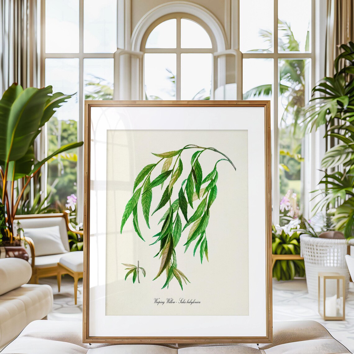 Weeping Willow Botanical Tree, Home Decor Art Print - Image 3