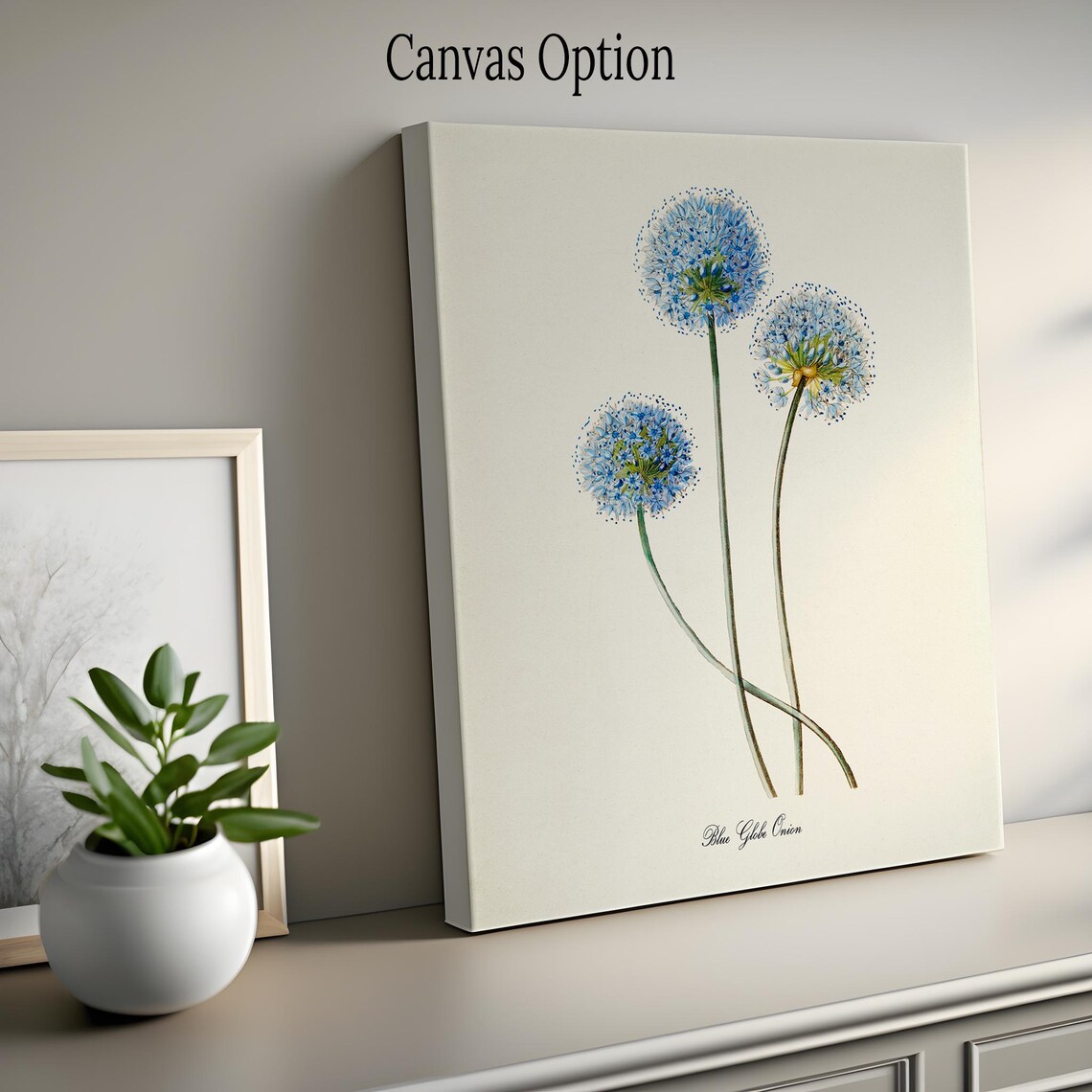 Blue Globe Onion Flower Botanical Poster Print - Image 2