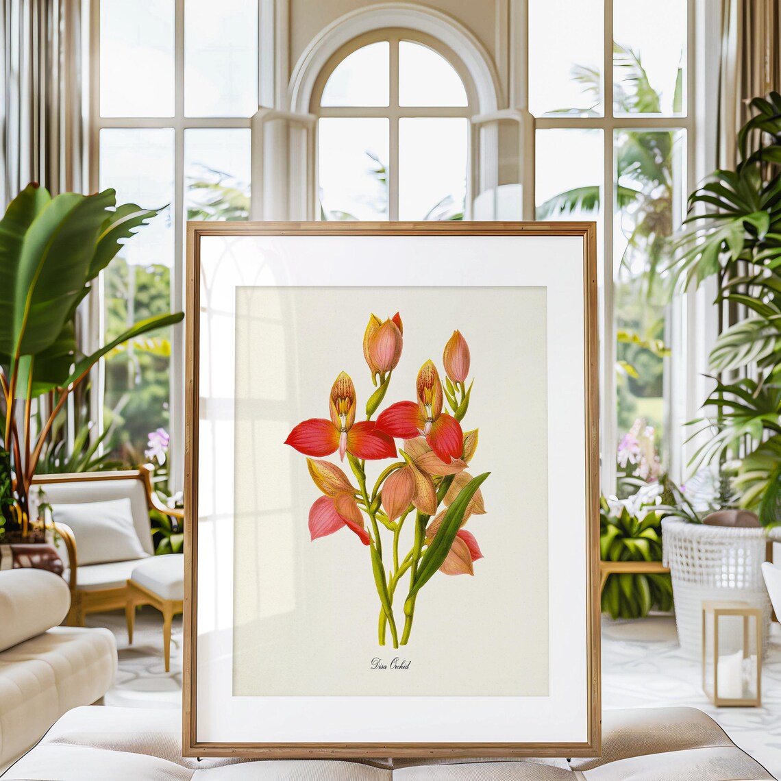 Disa Orchid Botanical Flower Art Print, Floral Decor - Image 3