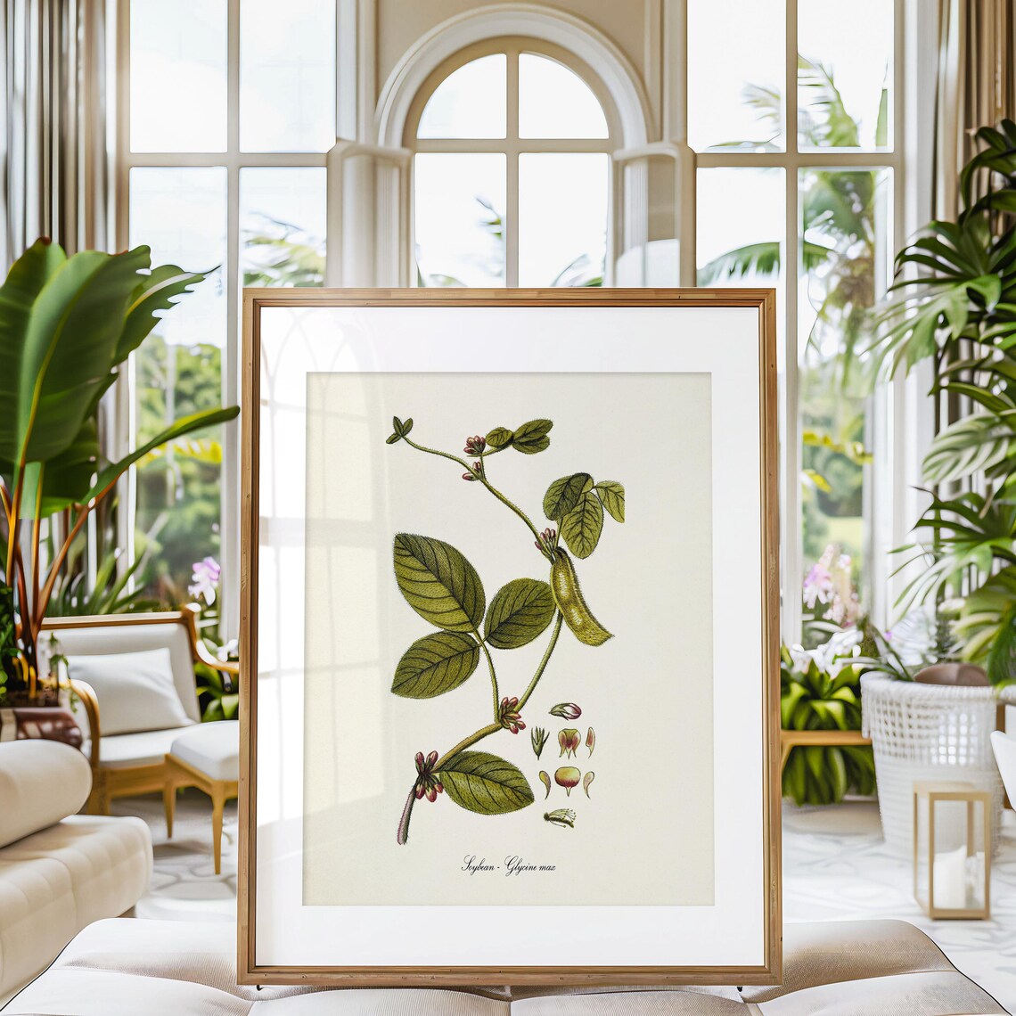 Soybean Botanical Art Print, Glycine Max Farmer Gift - Image 3