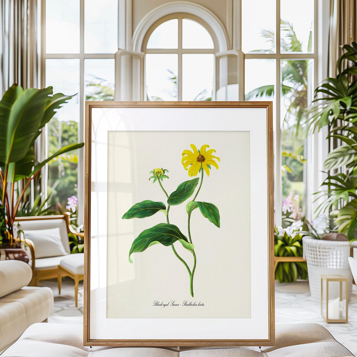 Black Eyed Susan Vintage Floral Wall Art Print - Image 3