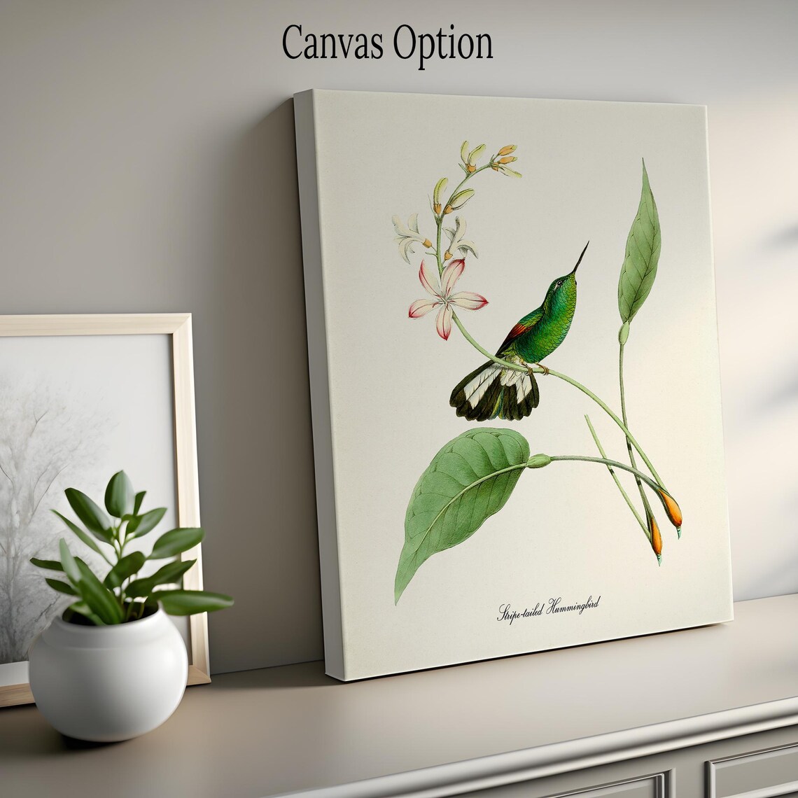 Stripe Tailed Hummingbird Floral Garden Art Print - Image 2