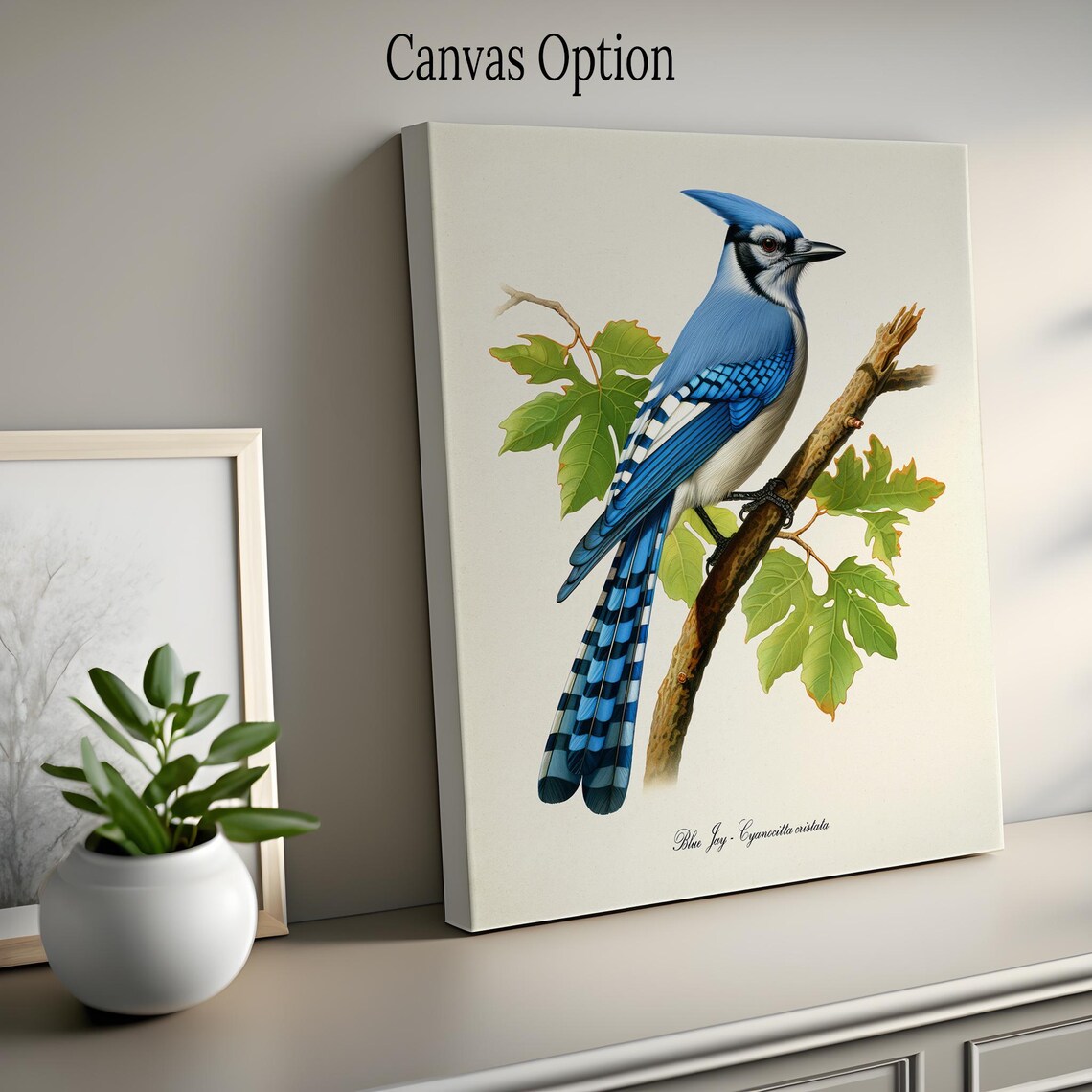 Blue Jay Bird Art Print, Garden Birdwatcher Gift - Image 2