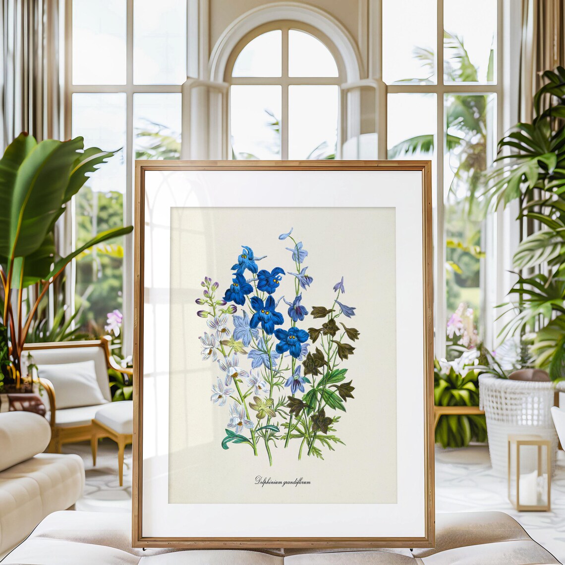 Siberian Larkspur, Delphinium Grandiflorum Art Print - Image 3