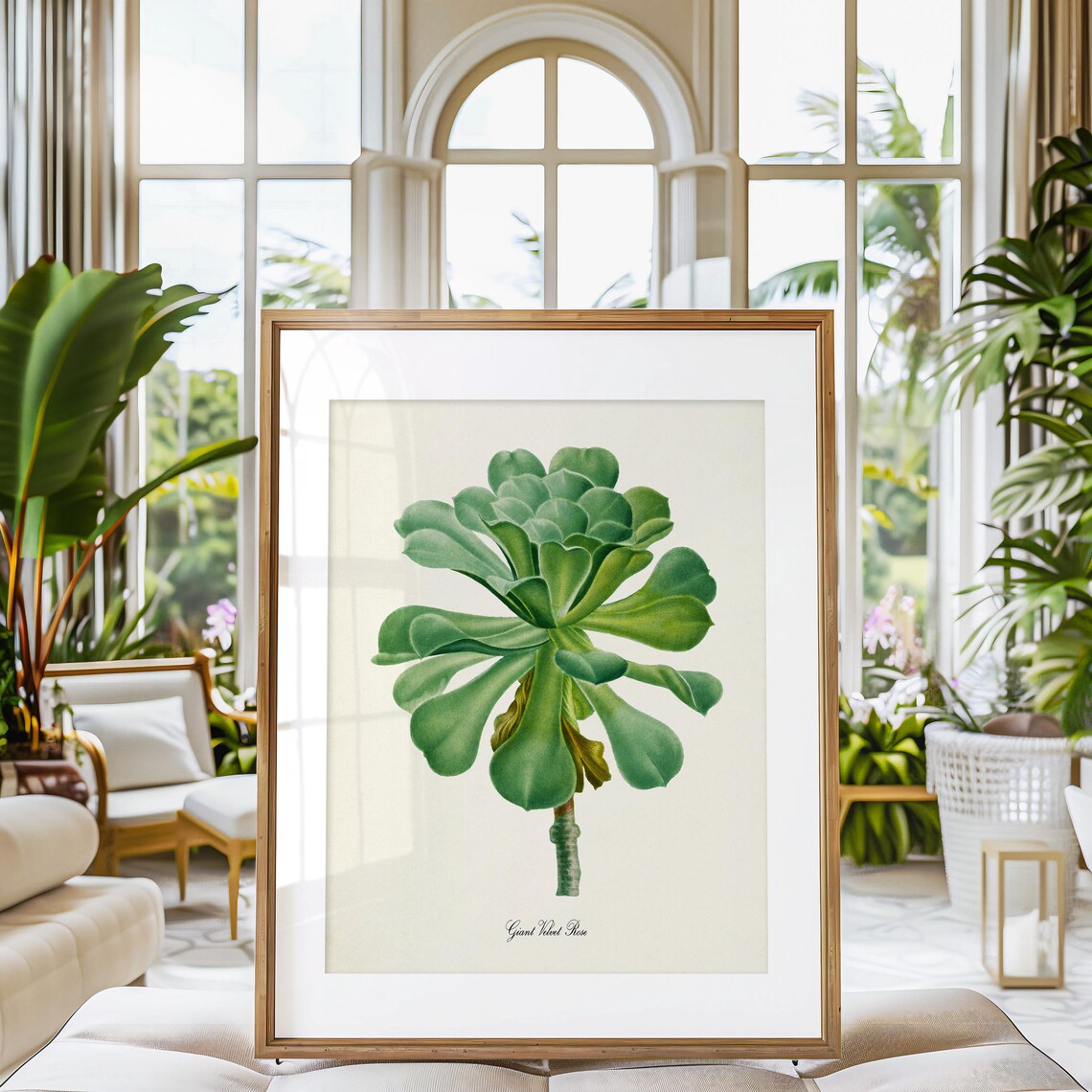 Giant Velvet Rose Succulent Botanical Art Print - Image 3