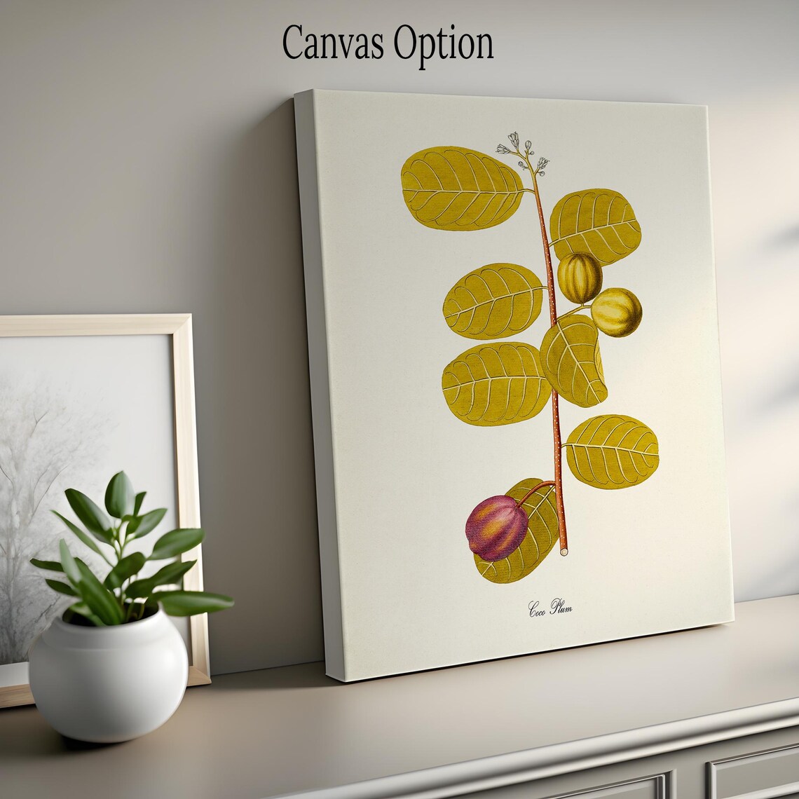Coco Plum Botanical Art Print, Kitchen Garden - Image 2