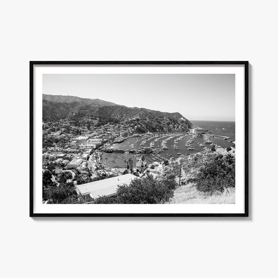 Avalon Bay Catalina Island Black and White Harbor Photo Poster