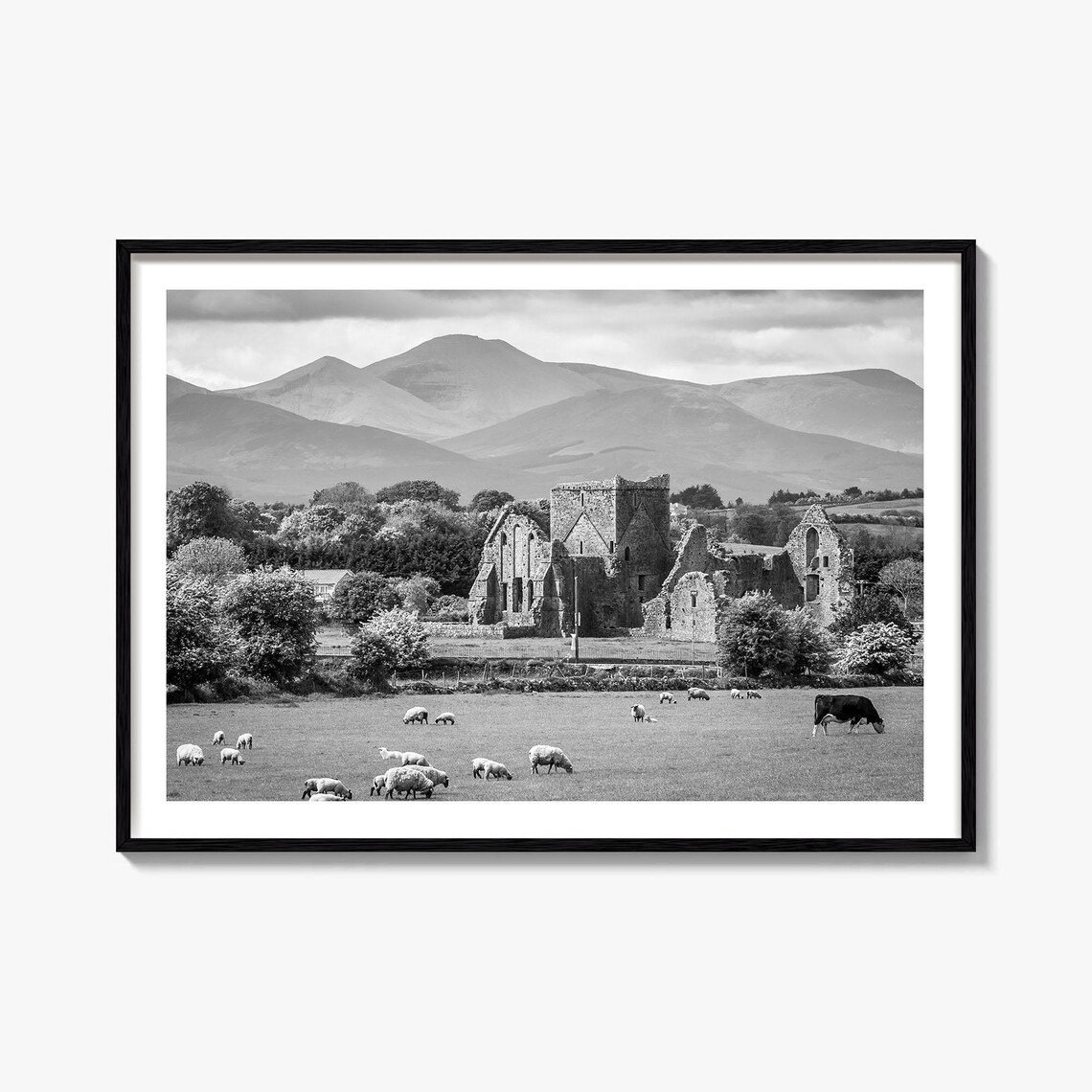 Ireland Black and White Travel Map Poster Print