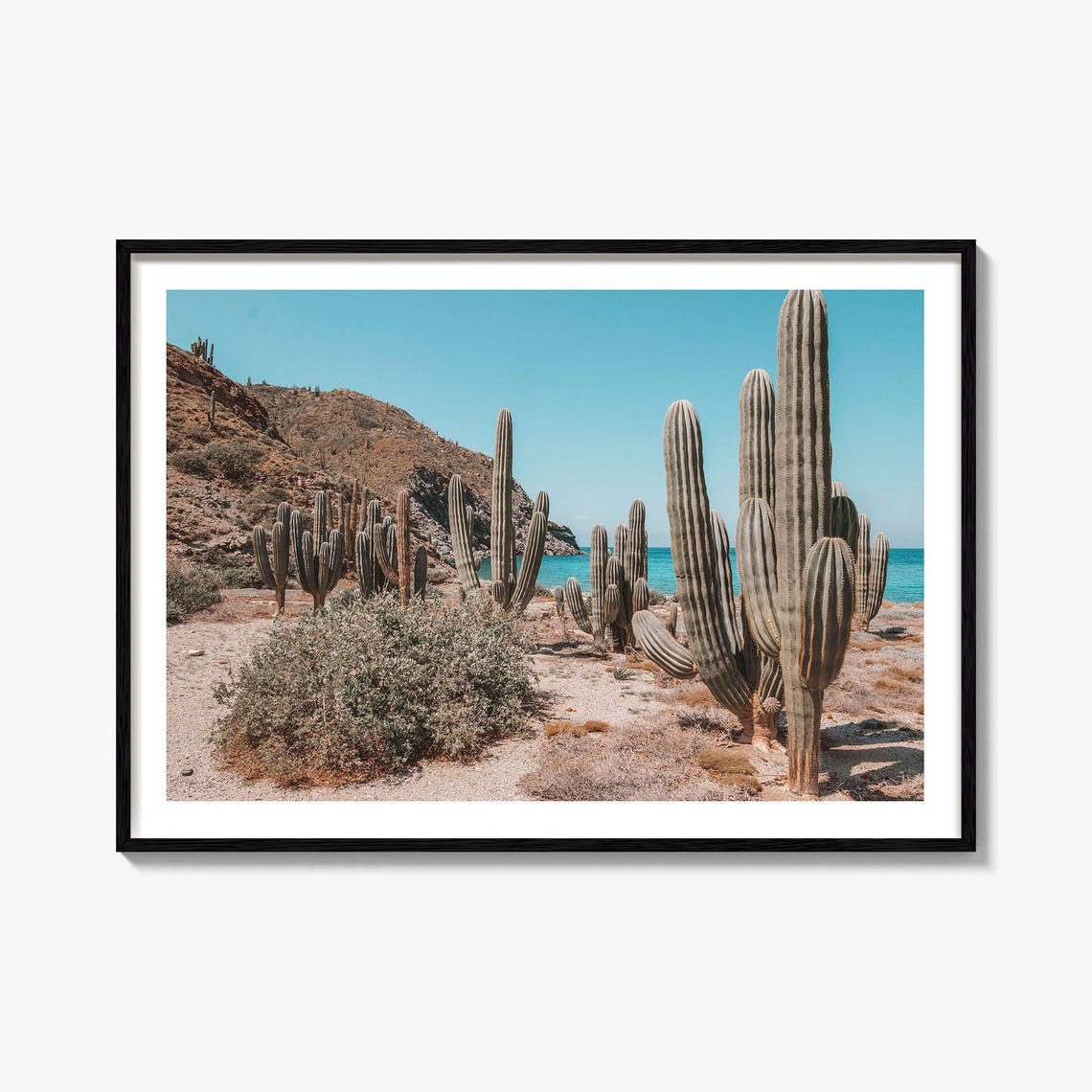 Giant Cardon Cactus Desert Coastline Turquoise Sea View Poster