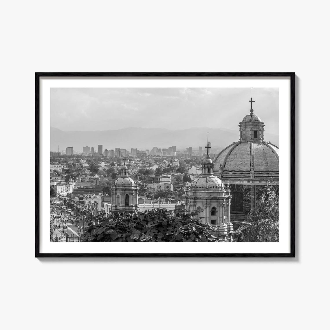 Mexico Black And White Cathedral Domes Over The City Skyline Poster