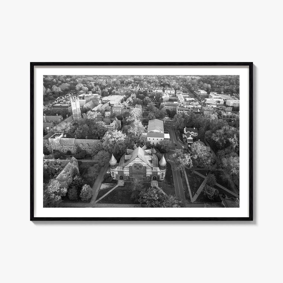 Princeton University Campus Aerial Black And White College Poster