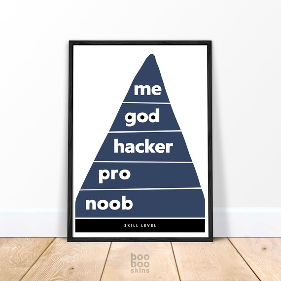 Noob Pro Hacker God Gamer Funny Poster