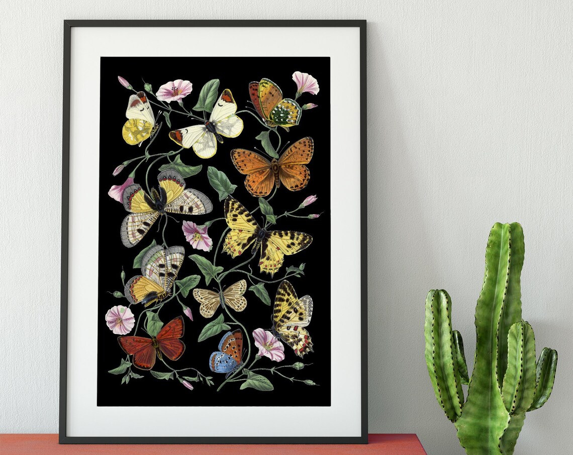 Black Butterflies Vintage Poster Print