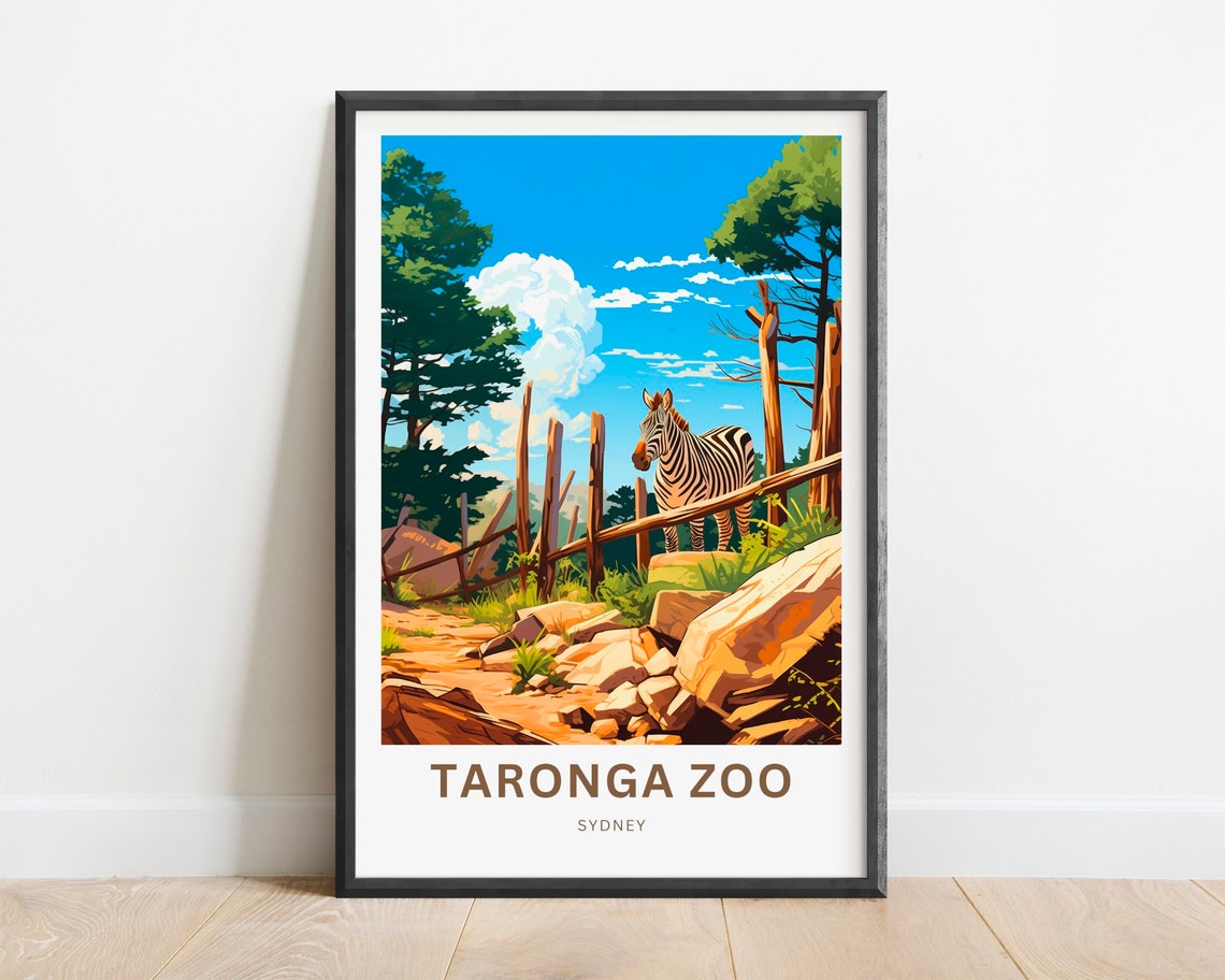 Taronga Zoo Sydney Australia Curious Zebra Illustrated Art Poster