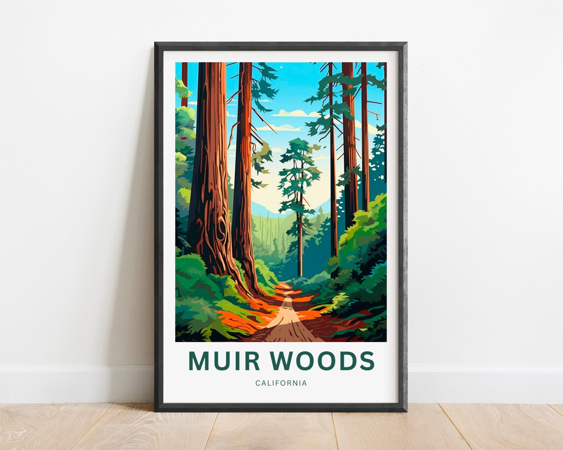 Muir Woods Travel Poster, California Wall Art