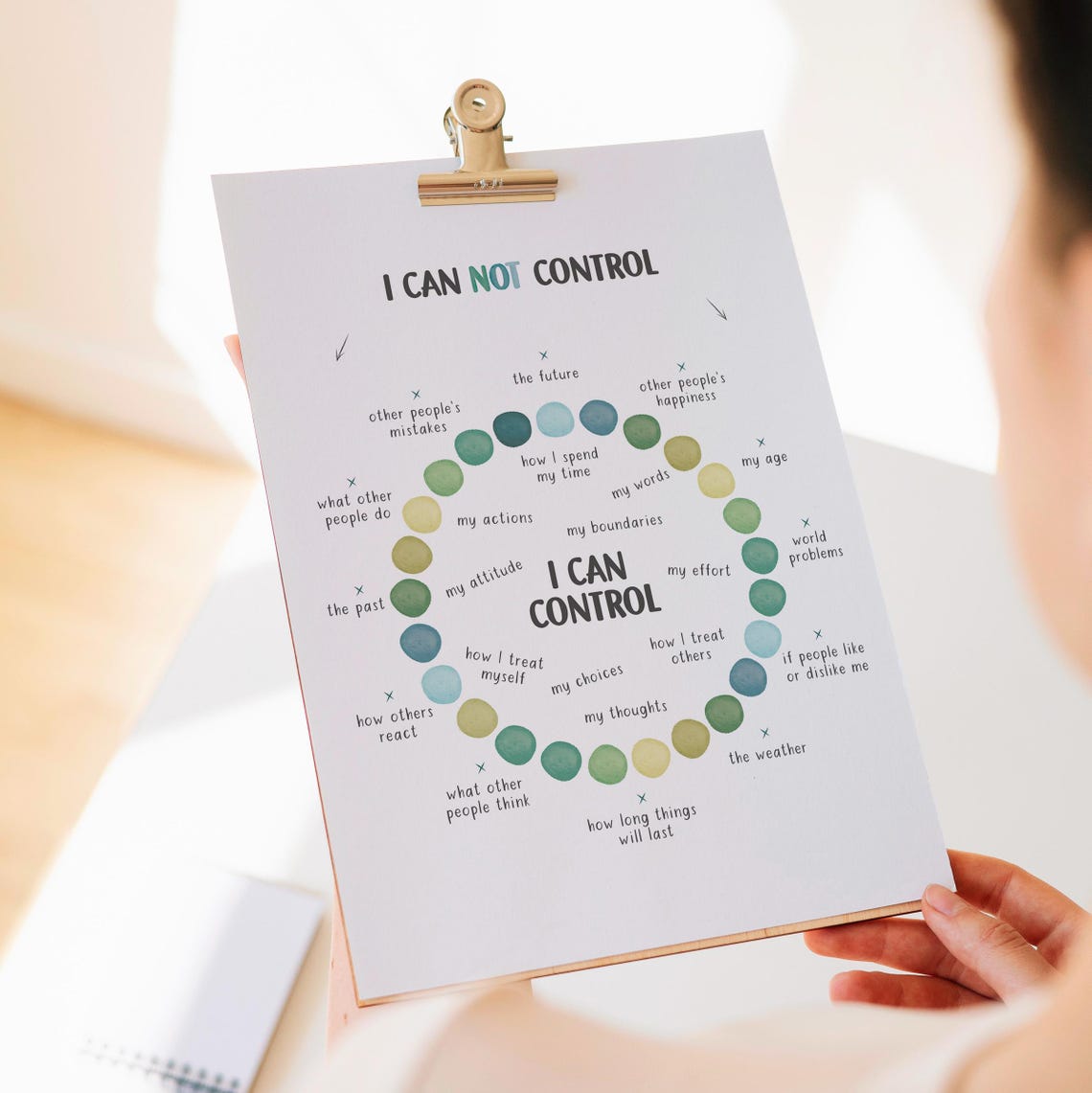 Things I Can Control Poster Therapy Office Circle Mental Health Coping - Image 5