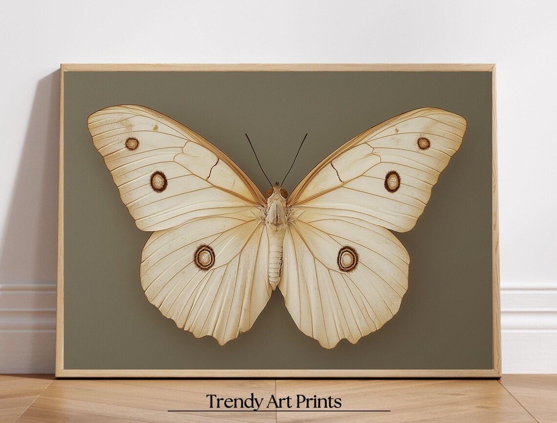 Vintage White Butterfly Specimen Dark Moody Insect Art Print - Image 8