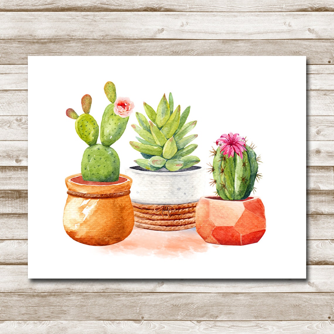 Potted Cactus and Succulent Trio Watercolor Botanical Art Poster - Image 4