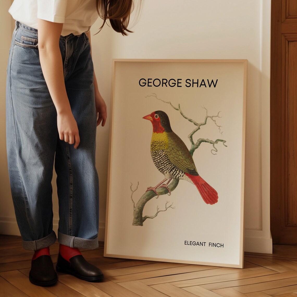 George Shaw Elegant Finch Vintage Bird Illustration Art Poster - Image 3