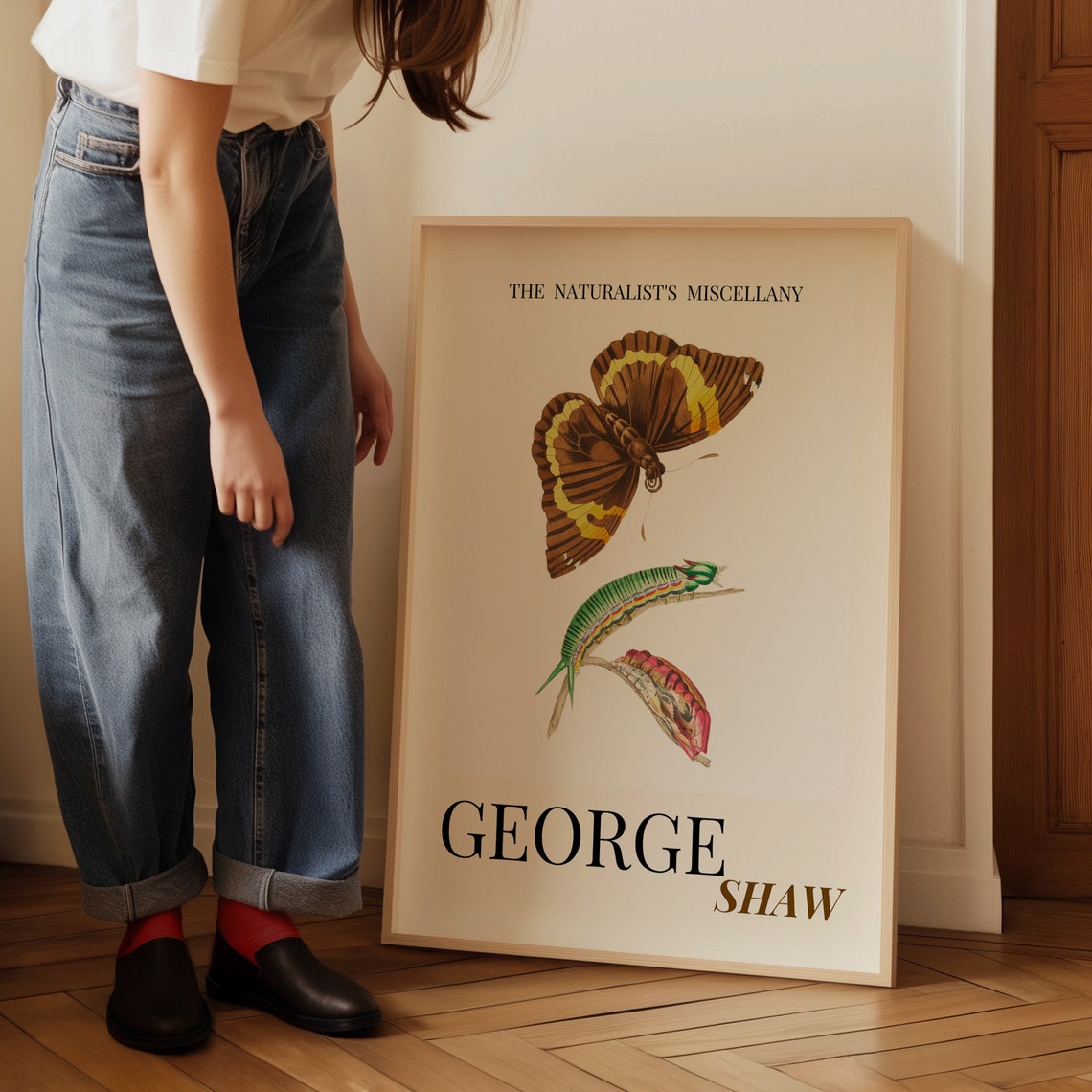 George Shaw Antique Butterfly and Caterpillar Life Cycle Poster - Image 3