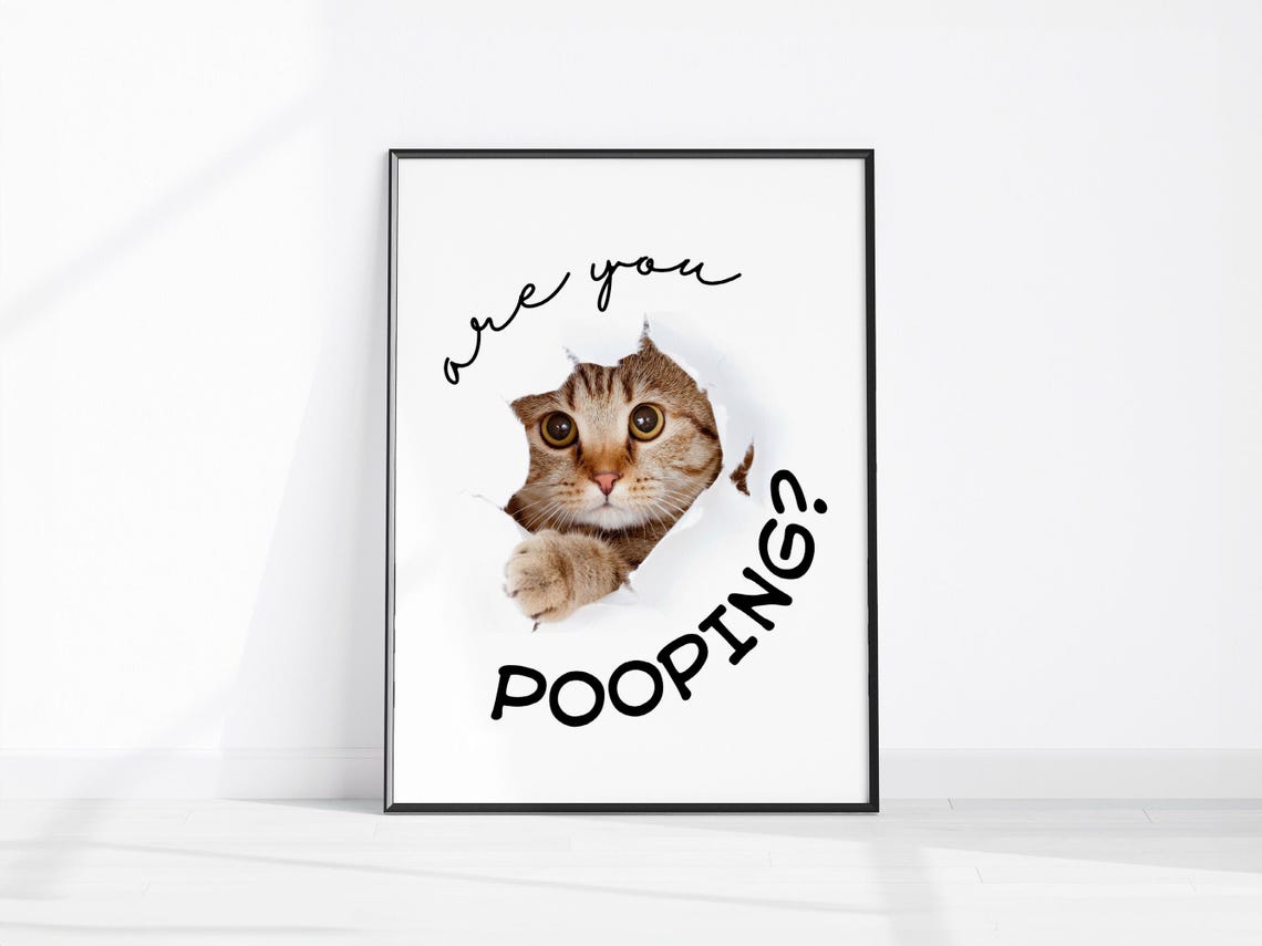 Are You Pooping Funny Cat Bathroom Poster Humorous Toilet Wall Decor