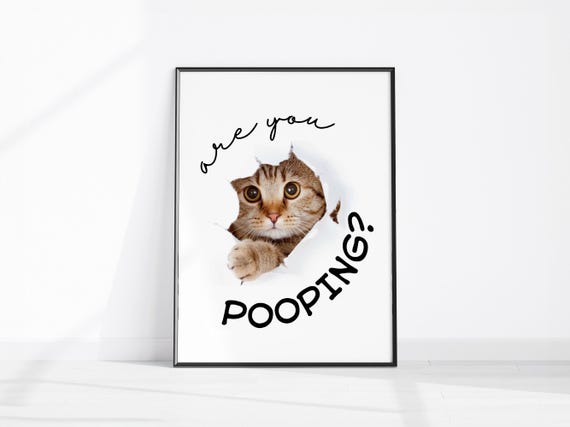 Bathroom Cat Decor Toilet Wall Art Print Funny Are You Pooping Sign Restroom Poster