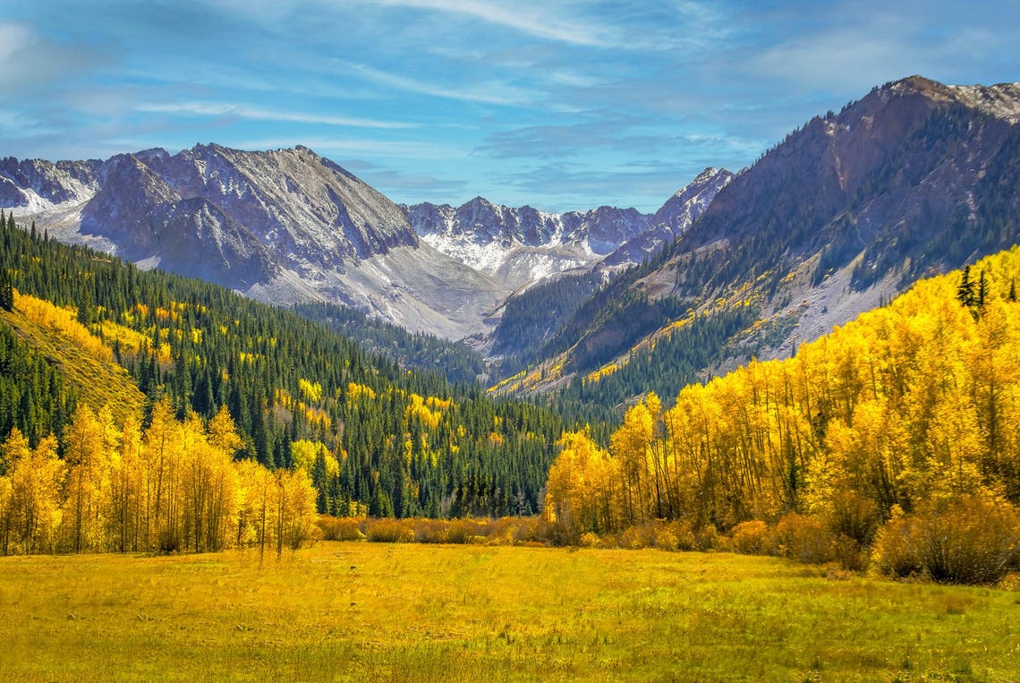 Colorado Mountain Valley Meadow Golden Aspens Snow Peaks Poster