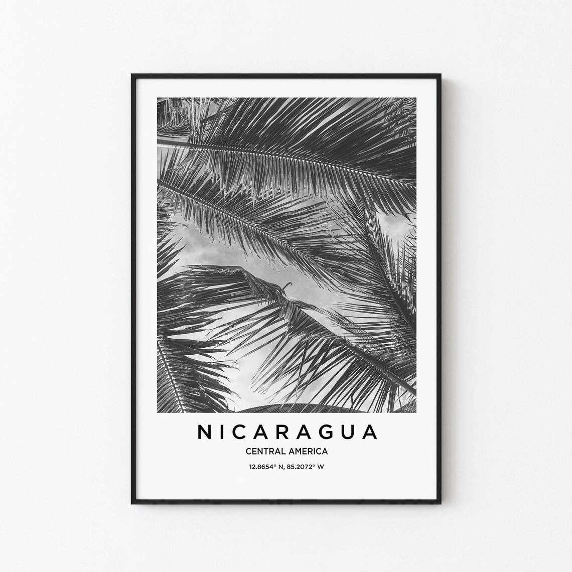 Nicaragua Palm Fronds Black and White Tropical Leaf Pattern Poster