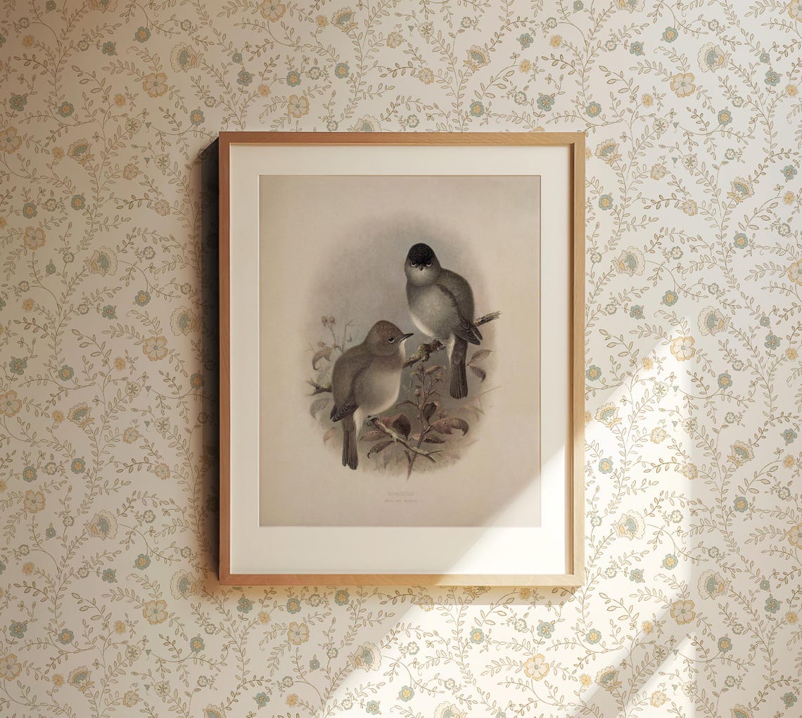 Vintage Songbird Pair Perched On Branch Classic Ornithology Art Poster - Image 3