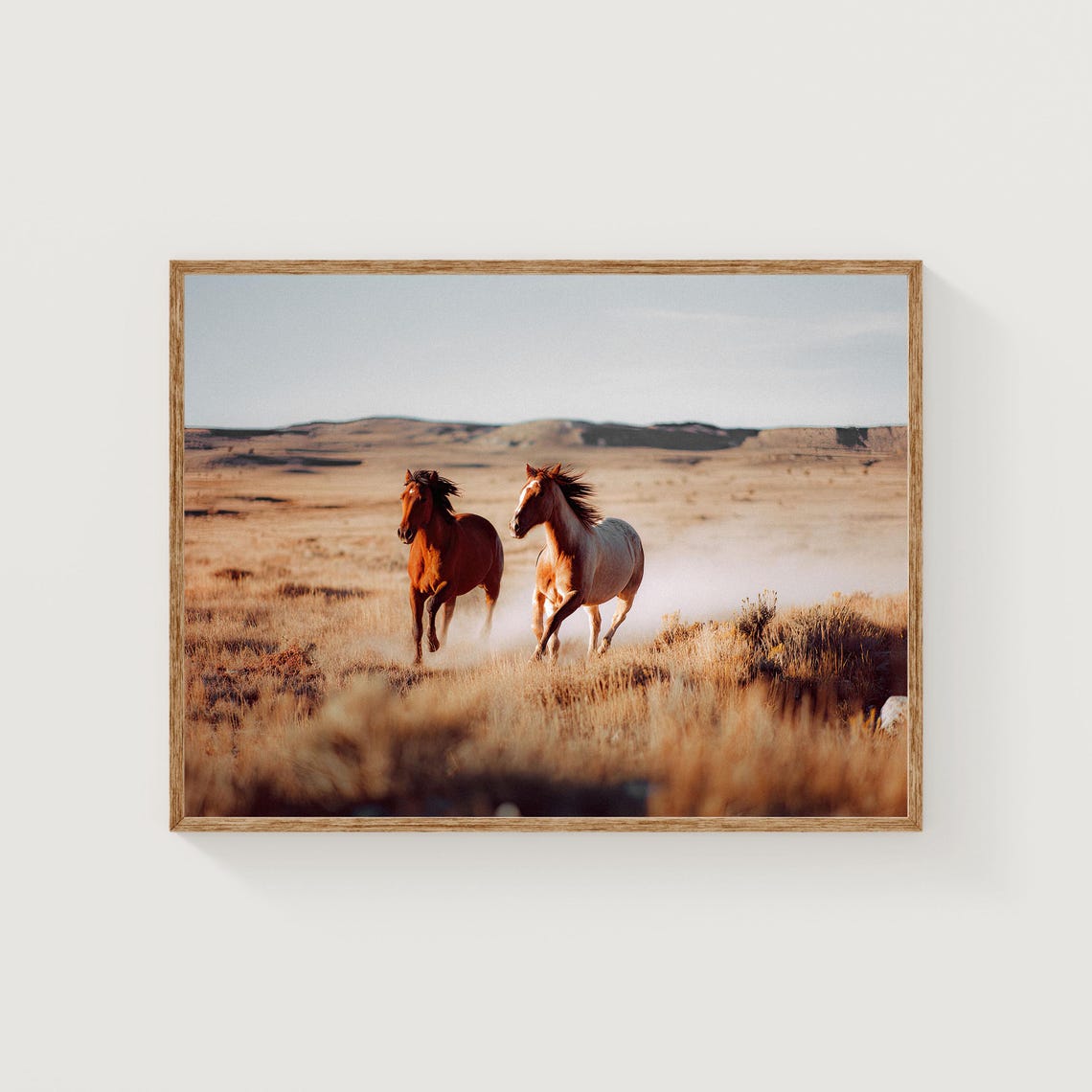 Two Wild Horses Running Golden Grassland Western Fine Art Print