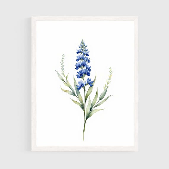 Texas Bluebonnet Flowers Minimalist Watercolor Art Print