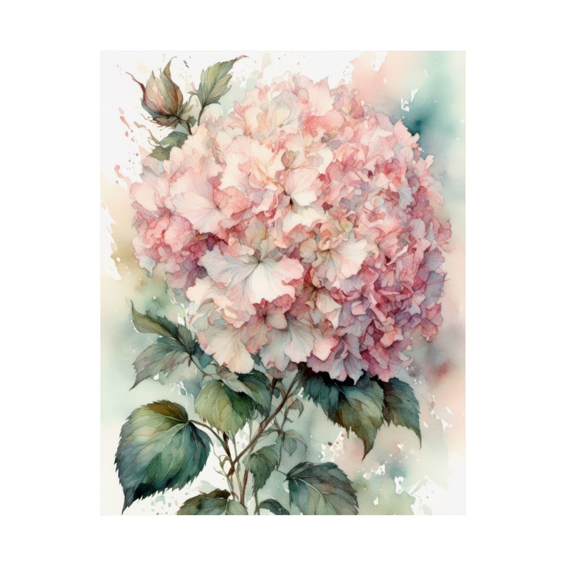 Pale Pink Hydrangea Watercolor Botanical Art Print