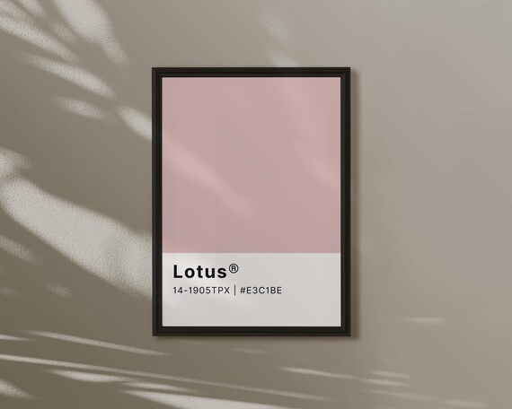 Lotus Soft Pink Colour Swatch Card Minimalist Feminine Poster