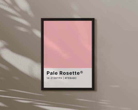 Pale Rosette Pink Colour Swatch Card Light Feminine Minimal Poster