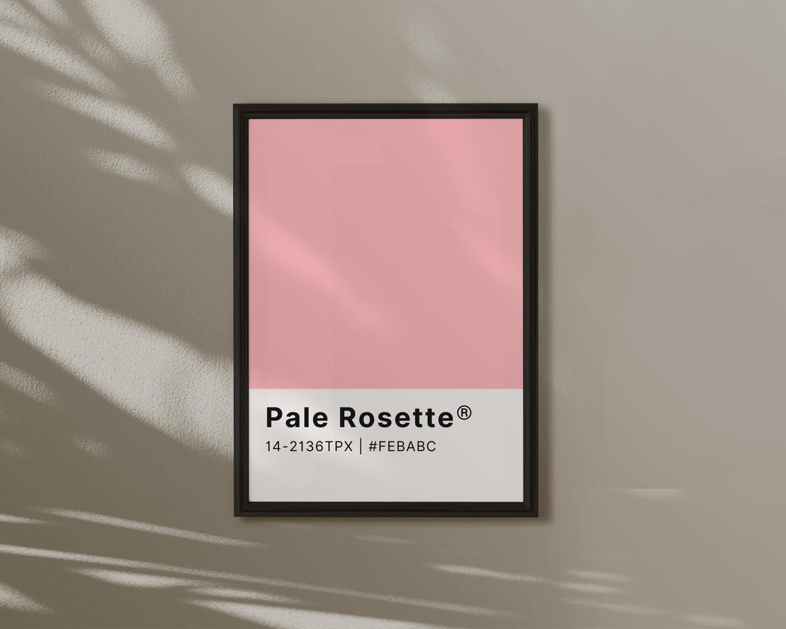 Pale Rosette Pink Colour Swatch Card Light Feminine Minimal Poster