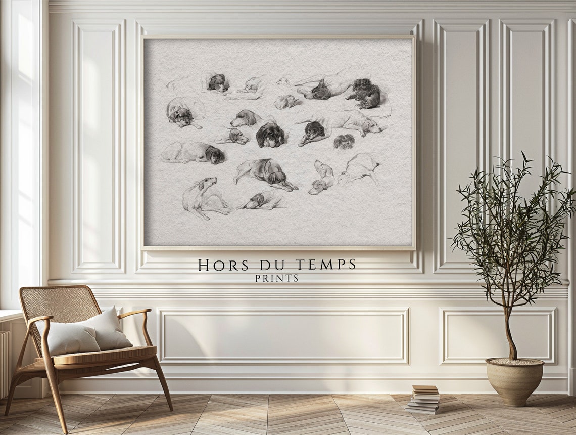 Antique Dog Studies Sketch Sheet Sleeping Hounds Vintage Poster - Image 2