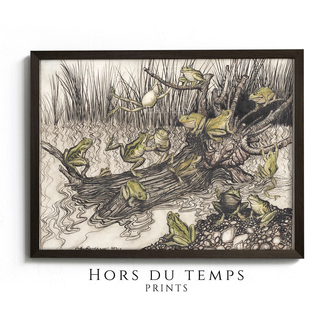 Arthur Rackham Frogs Vintage Fairytale Illustration Fun Poster