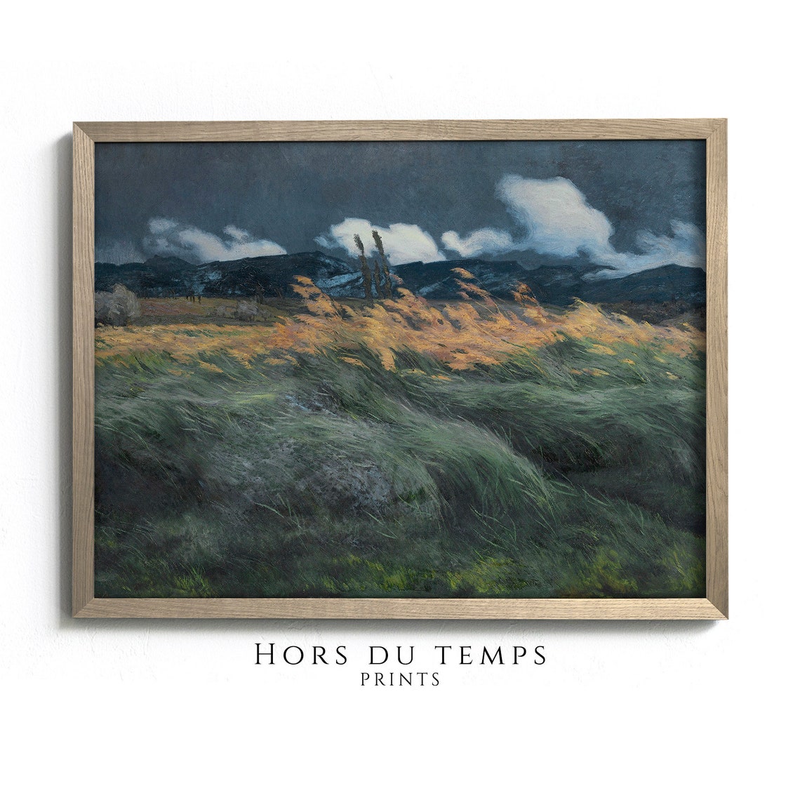 Windy Moorland Dusk Swaying Grasses Stormy Sky Dramatic Art Poster